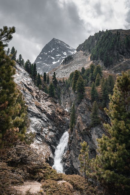 Mountain Landscapes - Discover the scenic waterfall amidst pine trees #12643375