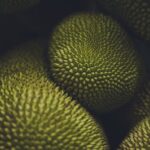 Food Aesthetics - Detailed visual of jackfruit's textured surface, #19229289