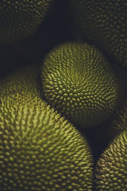 Food Aesthetics - Detailed visual of jackfruit's textured surface, #19229289
