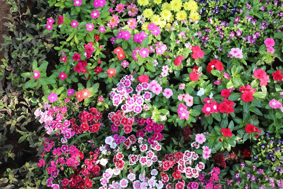 Flowers & Plants - A top view of a diverse collection of colorful g #36463824