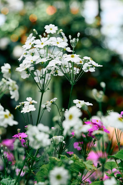 Flowers & Plants - A beautiful collection of white and pink wildflo #36685899