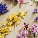 Flowers & Plants - From above composition of bright yellow Forsythi #4207678
