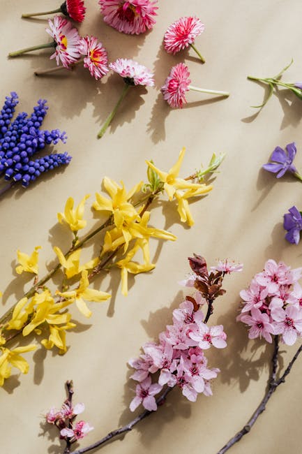 Flowers & Plants - From above composition of bright yellow Forsythi #4207678