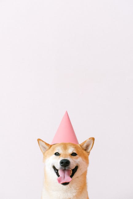Cute Pets - Happy Shiba Inu wearing a pink party hat with a #4587992