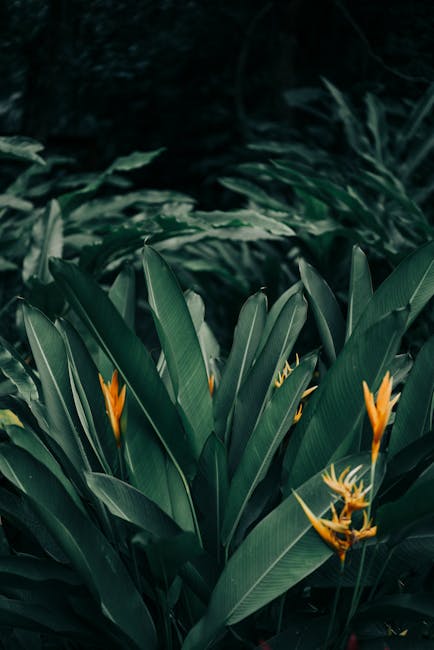 Flowers & Plants - Close-up of lush green tropical leaves with stri #5984410