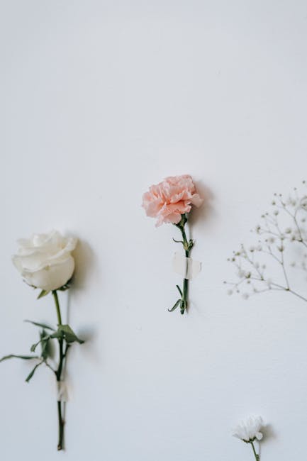 Flowers & Plants - Isolated pink carnation with rose and gypsophila #6913166