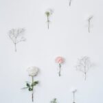 Flowers & Plants - Thin twigs and colorful roses with bright petals #6913773