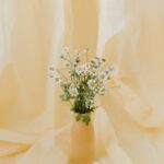 Flowers & Plants - A collection of delicate daisies arranged in a b #7663186