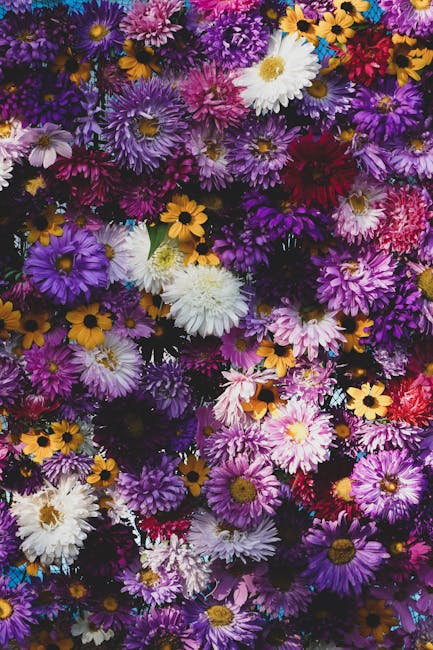 Flowers & Plants - A close-up of a vibrant floral arrangement featu #9365970